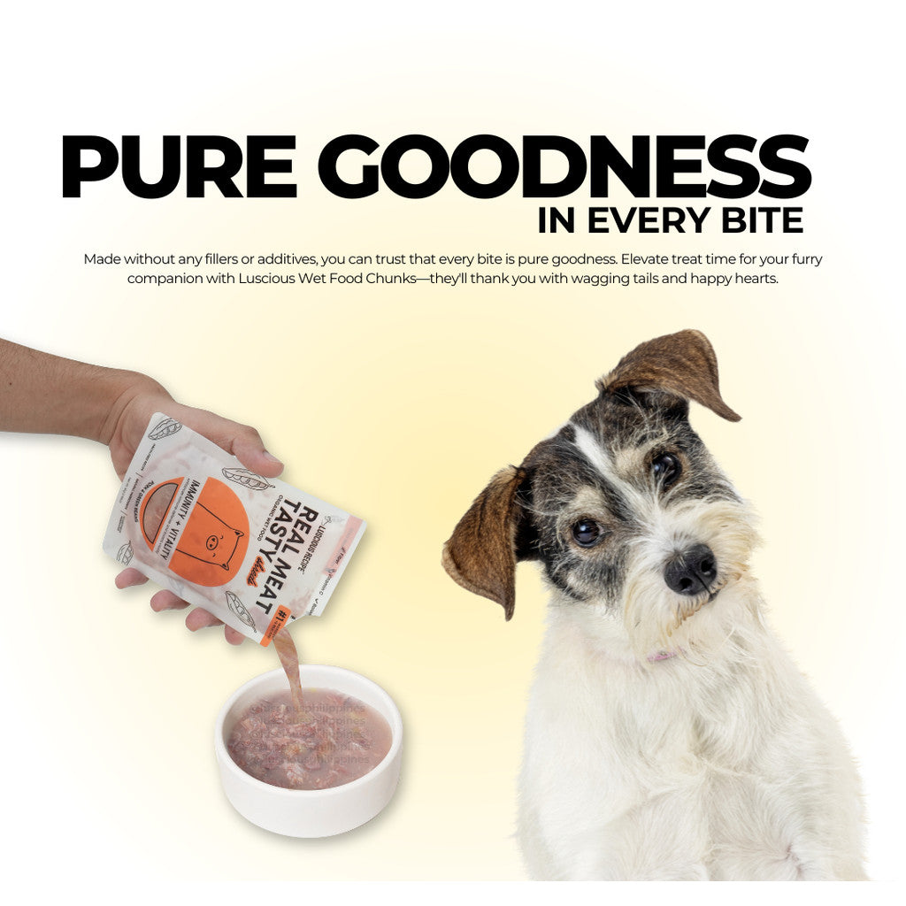 Luscious Recipe Real Meat Organic Wet Food 85g