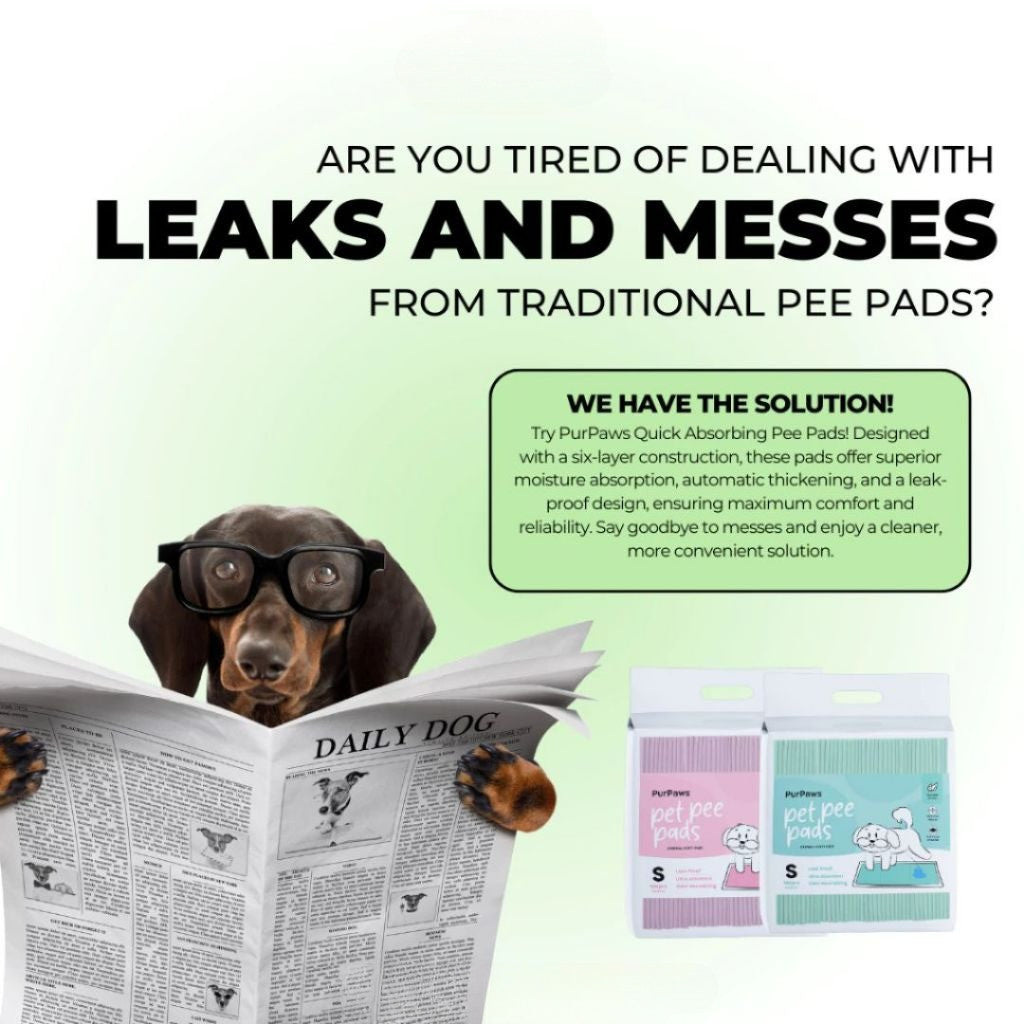 PurPaws Dog Pet Pee Pads – Super absorbent, leak-proof pads
