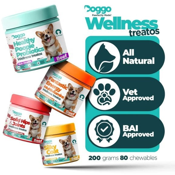 Doggo Wellness Treatos Healthy Dog Treats 200g (All 4 Variants)