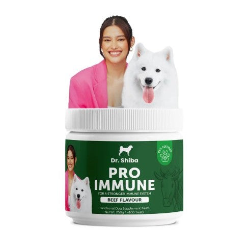 Dr. Shiba  Pro Immune Supplement Treats Beef Flavour 250g